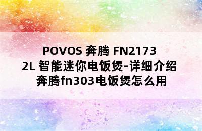 POVOS 奔腾 FN2173 2L 智能迷你电饭煲-详细介绍 奔腾fn303电饭煲怎么用